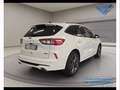 Ford Kuga 2.5 PHEV ST-Line X Blanc - thumbnail 9