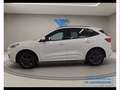 Ford Kuga 2.5 PHEV ST-Line X Blanc - thumbnail 3