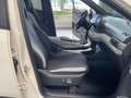 BYD Dolphin Comfort Leder Navi Sitzheizung DAB+ Soundsystem Weiß - thumbnail 12