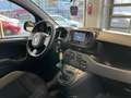 Fiat Panda Panda III 2021 1.0 firefly hybrid s Schwarz - thumbnail 12