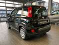 Fiat Panda Panda III 2021 1.0 firefly hybrid s Schwarz - thumbnail 6