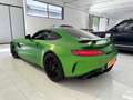 Mercedes-Benz AMG GT AMG GT 4.0 R auto my20 / SEDILI GUSCIO / IVA ESP. Grün - thumbnail 8