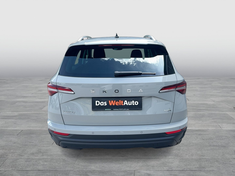 Skoda Karoq 4x4 Selection TDI DSG — photo 4