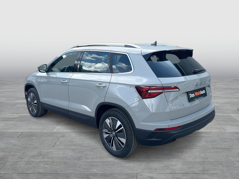 Skoda Karoq 4x4 Selection TDI DSG — photo 3