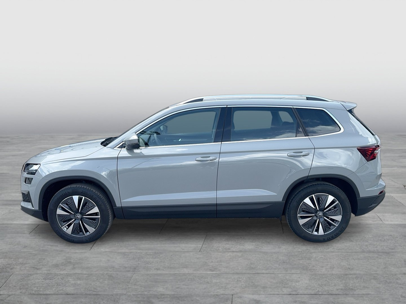 Skoda Karoq 4x4 Selection TDI DSG — photo 2