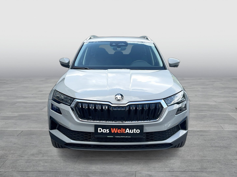 Skoda Karoq 4x4 Selection TDI DSG — photo 6