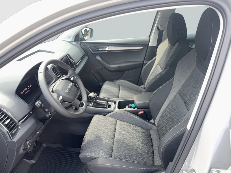Skoda Karoq 4x4 Selection TDI DSG — photo 7