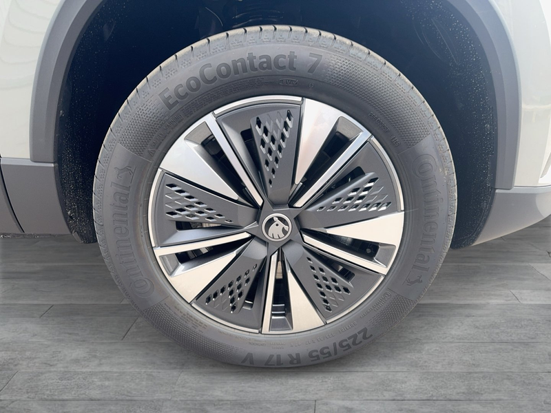 Skoda Karoq 4x4 Selection TDI DSG — photo 5