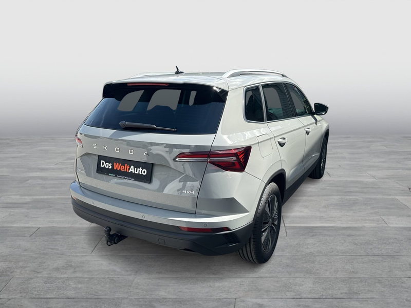 Skoda Karoq 4x4 Selection TDI DSG — photo 12