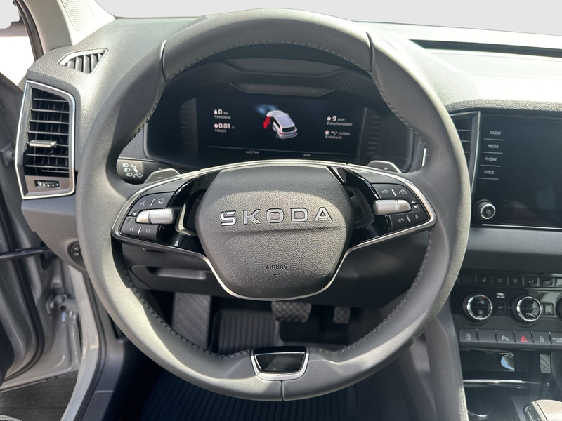 Skoda Karoq 4x4 Selection TDI DSG — photo 13