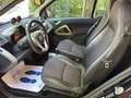 smart forTwo Fortwo 1.0 MHD PULSE 71 CV., Euro 5, Tetto Panor. Noir - thumbnail 10