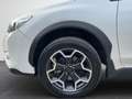 Subaru XV Exclusive/AWD/NAVI/KAMERA/AHK/SHZ Weiß - thumbnail 17