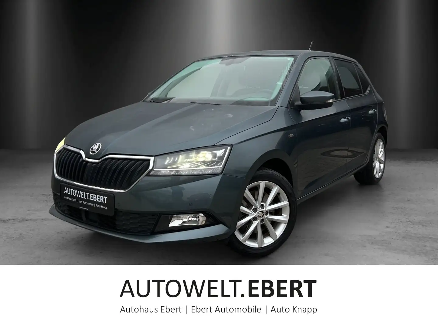 Skoda Fabia SOLEIL 1,0 TSI LED/ACC/PDC/SHZ/DAB/ Grau - 1