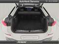 BMW X6 xDrive30d 48V Msport Bianco - thumbnail 45