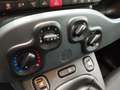 Fiat Panda Hybrid 1.0 Gse 51kw (70CV) Gris - thumbnail 17