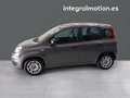 Fiat Panda Hybrid 1.0 Gse 51kw (70CV) Gris - thumbnail 24