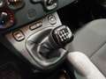 Fiat Panda Hybrid 1.0 Gse 51kw (70CV) Gris - thumbnail 18