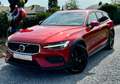 Volvo V60 Cross Country V60 Cross Country 2.0 D3 AWD Geartronic Rouge - thumbnail 15