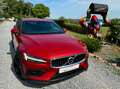 Volvo V60 Cross Country V60 Cross Country 2.0 D3 AWD Geartronic Rouge - thumbnail 2