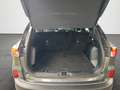 Ford Kuga 2.5 Duratec PHEV Titanium ACC+Navi+SHZ+Kam. Grau - thumbnail 14