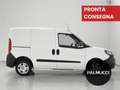 Fiat Doblo Doblò 1.3 MJT Cassonato Work-Up E5+ - thumbnail 4