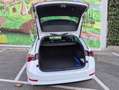 Skoda Octavia Octavia IV Wagon 1.5 g-tec Style 130cv dsg Bianco - thumbnail 15