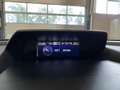Subaru XV 2.0i e-BOXER Luxury AWD, Camera, Carplay, Trekhaak Blauw - thumbnail 30