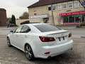 Lexus IS 250 IS 250 Aut. Luxury Line Weiß - thumbnail 7