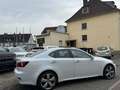 Lexus IS 250 IS 250 Aut. Luxury Line Weiß - thumbnail 4