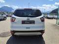 Ford Kuga 1,5 TDCi Trend Weiß - thumbnail 4