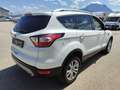 Ford Kuga 1,5 TDCi Trend Weiß - thumbnail 5