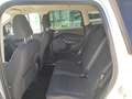Ford Kuga 1,5 TDCi Trend Weiß - thumbnail 10