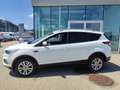 Ford Kuga 1,5 TDCi Trend Weiß - thumbnail 2