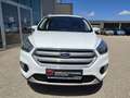 Ford Kuga 1,5 TDCi Trend Weiß - thumbnail 7
