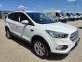 Ford Kuga 1,5 TDCi Trend Weiß - thumbnail 6