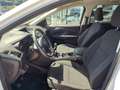 Ford Kuga 1,5 TDCi Trend Weiß - thumbnail 9