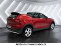 Volvo XC40 D3 AWD Business Plus LED NAVI KAMERA SITZH Rouge - thumbnail 5