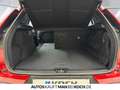 Volvo XC40 D3 AWD Business Plus LED NAVI KAMERA SITZH Rouge - thumbnail 15