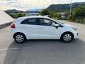 Kia Rio Attract Weiß - thumbnail 4