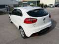Kia Rio Attract Weiß - thumbnail 6