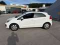 Kia Rio Attract Weiß - thumbnail 5