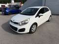 Kia Rio Attract Weiß - thumbnail 1