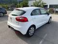 Kia Rio Attract Weiß - thumbnail 7