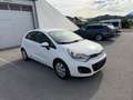Kia Rio Attract Weiß - thumbnail 3
