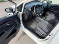 Kia Rio Attract Weiß - thumbnail 9