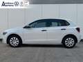 Volkswagen Polo 1.0 Trendline Klima Sitzheizung Fenster el. Blanco - thumbnail 2