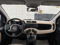 Fiat Panda Panda 1.2 EasyPower Lounge Mauve - thumbnail 10