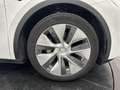 Tesla Model Y RWD STANDARD / 1ERE MAIN Weiß - thumbnail 22