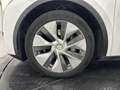 Tesla Model Y RWD STANDARD / 1ERE MAIN Weiß - thumbnail 21