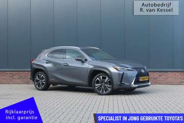 Preference Line I Origineel Nederlandse Lexus van